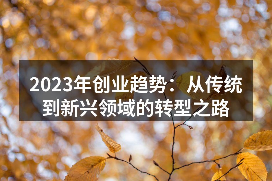 2023年创业趋势：从传统到新兴领域的转型之路